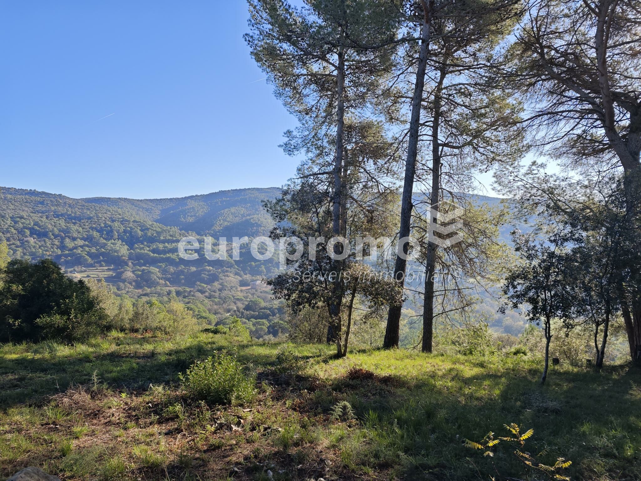 Fantàstica casa amb encant a Montjuïc!