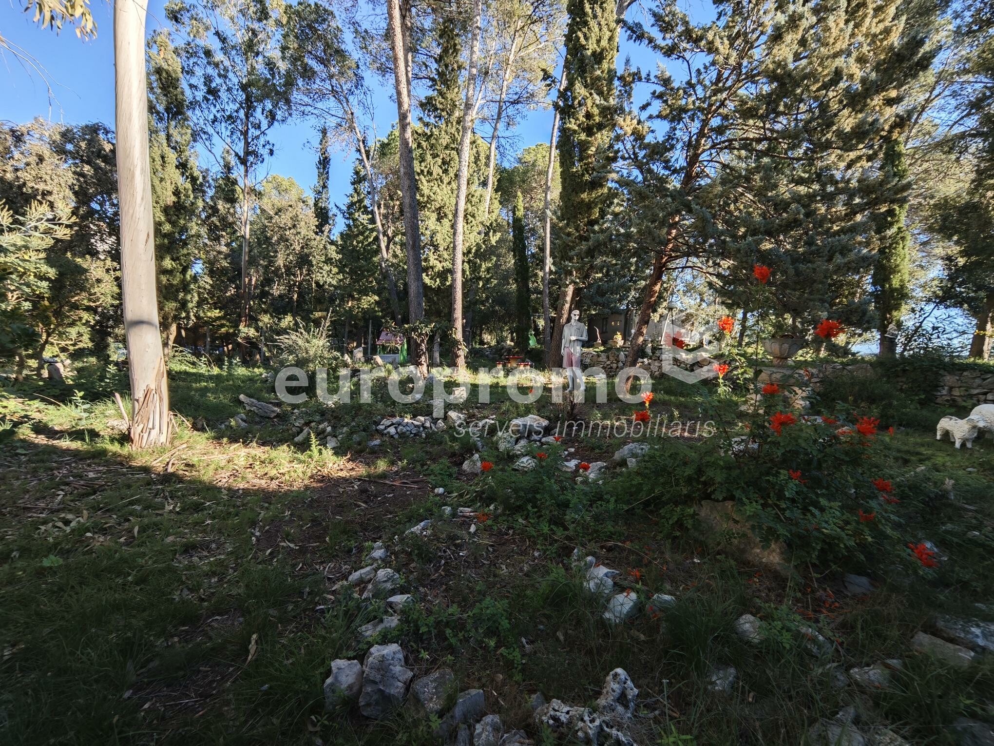 Fantàstica casa amb encant a Montjuïc!